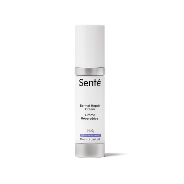 Senté Dermal Repair Cream Moisturizer Senté 
