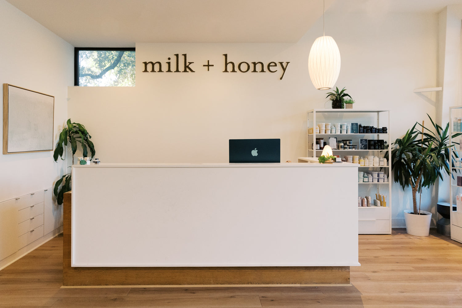 A bright, modern reception desk in a wellness or skincare shop with the words 'milk + honey' displayed on the wall above it. The white desk has a black laptop on top, with shelves, potted plants, and a hanging pendant light in the background.