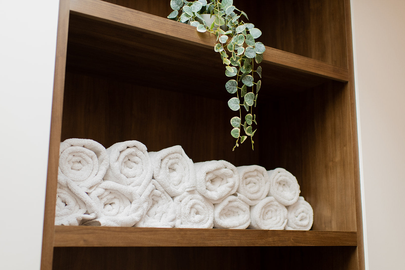 A set of neatly rolled white towels displayed on a wooden shelf, with a trailing green plant hanging over the top shelf in a clean indoor setting.