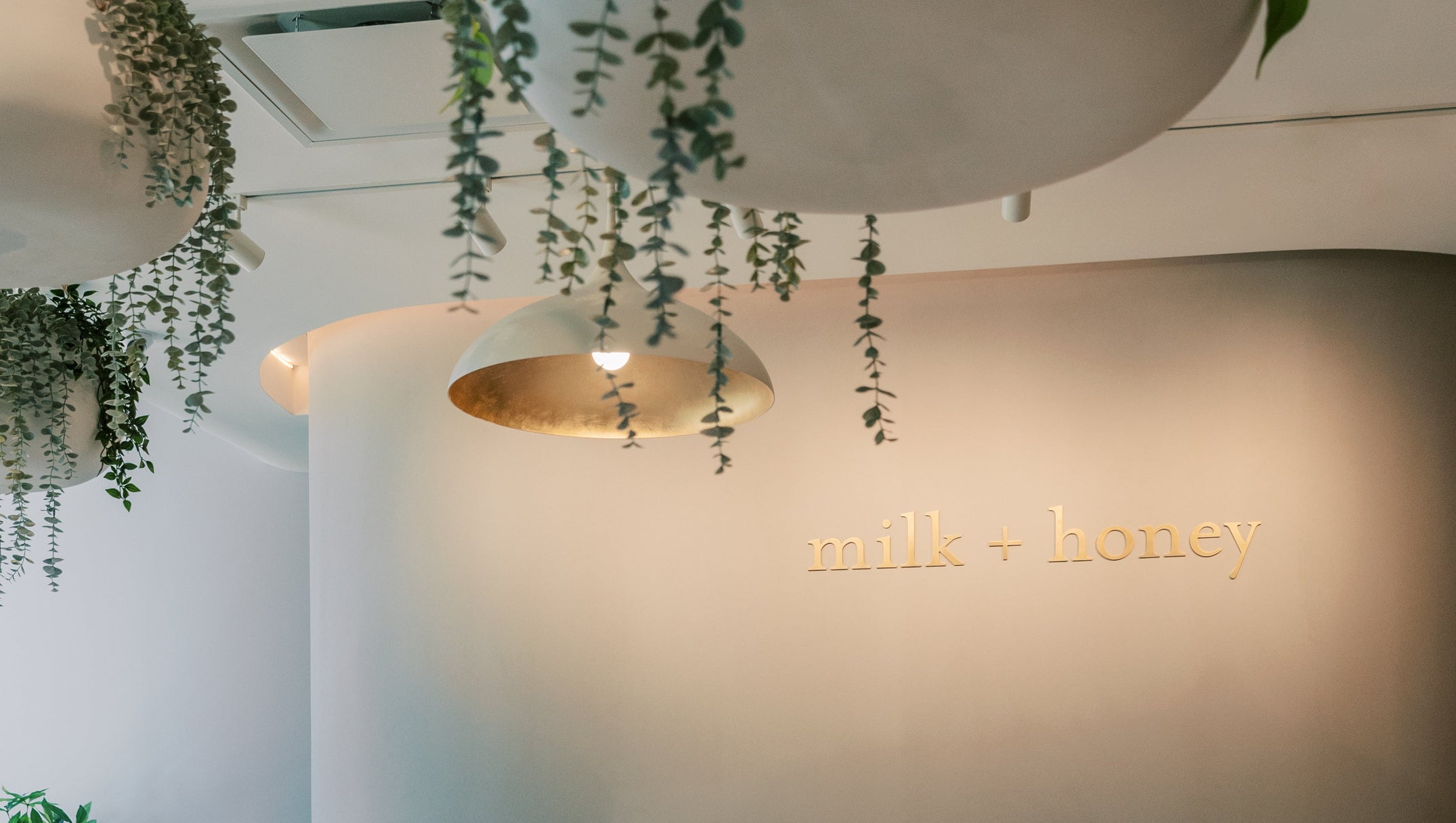 Round white cabinet in a room with 'milk + honey' branding on the wall.