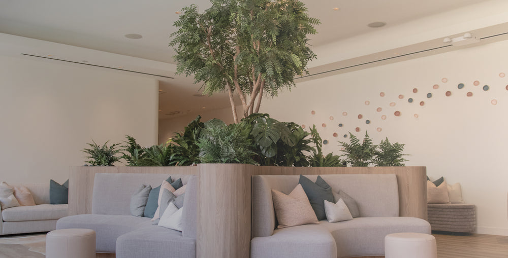 A modern living room or lounge area with light gray upholstered sofas, neutral pillows, a large central indoor tree, and multiple green plants arranged in a planter along the seating area. The room has warm off-white walls, recessed lighting, and a decorative string of round wall lights on the right.
