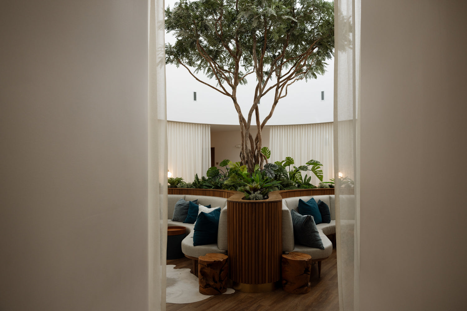Modern indoor setting with a tree, couches, and a table.