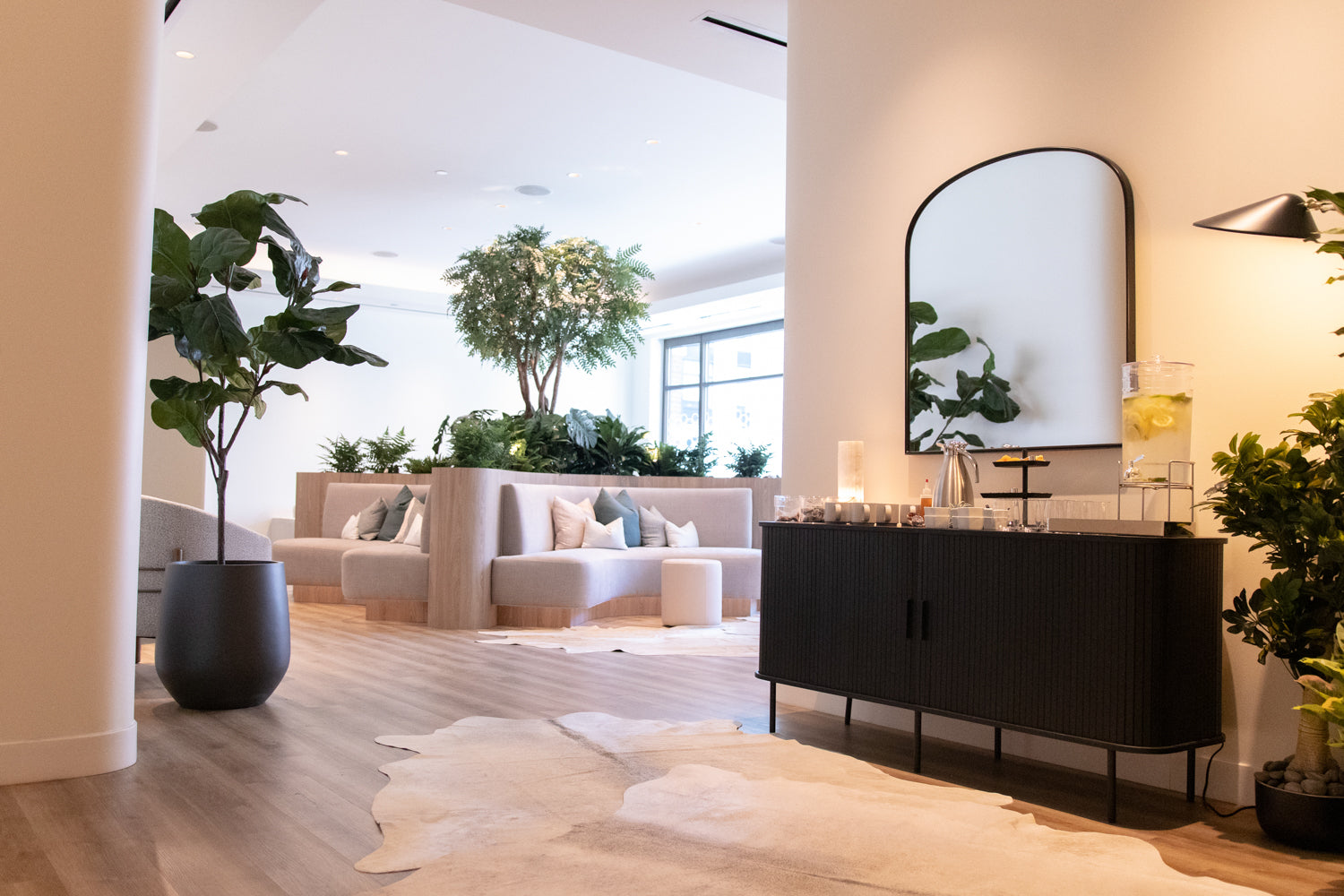 Modern living room with a black console table, white sofa, and decorative plants.